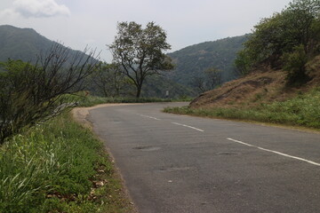Empty road through the green trees.