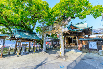 初夏の沖端水天宮　福岡県柳川市　Okibata Suitengu Shrine in early summer. Fukuoka Pref, Yanagawa City.