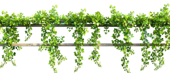 A vine covered trellis with green leaves