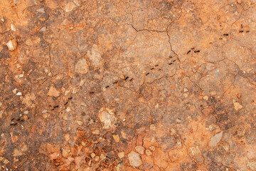 Grunge rusty metal background. Texture of rusty metal with cracks.