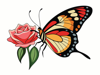 A butterfly flies on a rose flower white background C.eps