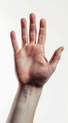 Raised open hand on white background, close-up shot. Communication and gesture concept