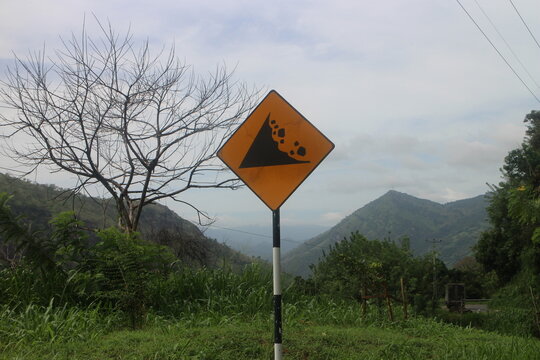 Landslide rockfall hazard yellow road sign on tree background