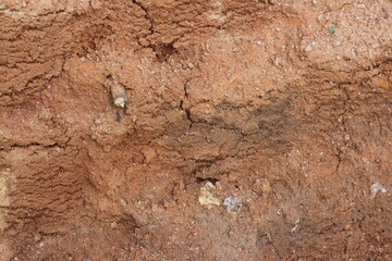 Soil Profile, Soil Layer, Soil Structure