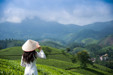 Asian women wearing traditional white vietnamese culture in tea plantations in the morning