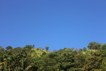 Blue sky and green mountain.