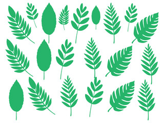 Green leaf icon set. leaf icon on isolated background.	