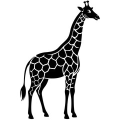 giraffe vector silhouette illustration and svg 