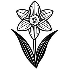 Obraz premium Hand drawn simple Floral flowers Daffodil flat design vector 