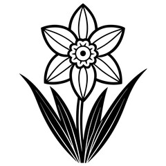Hand drawn simple Floral flowers Daffodil flat design vector 