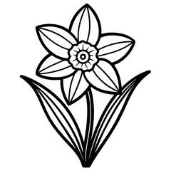 Hand drawn simple Floral flowers Daffodil flat design vector 