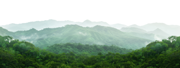 Mountains covered with tropical forest, cut out
