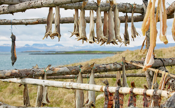  Har&eth;fiskur - Dried Icelandic Fish