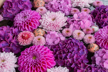 川越八幡宮の紫陽花（あじさい） SAITAMA JAPAN KAWAGOE