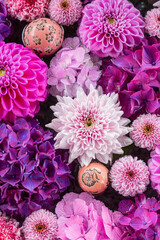 川越八幡宮の紫陽花（あじさい） SAITAMA JAPAN KAWAGOE