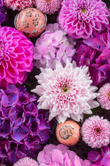 川越八幡宮の紫陽花（あじさい） SAITAMA JAPAN KAWAGOE