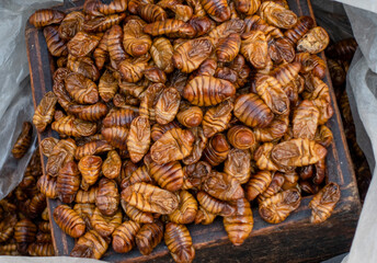 KOREA, SEOUL – April 2024: korean silkworm pupus sold on the street in Seoul, South Korea