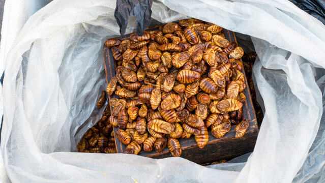 KOREA, SEOUL &ndash; April 2024: korean silkworm pupus sold on the street in Seoul, South Korea
