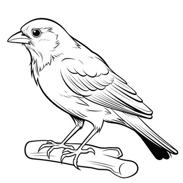recommend clip art: A Jackdaw perched on an iron pipe, vector line art, white ink