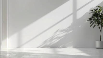 Obraz premium Clean white space with a large empty area and a smooth background.