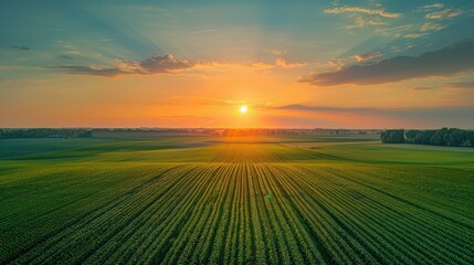 Obraz premium Aerial drone photo - Sunrise over a rural Sycamore Illinois cornfield AI generated