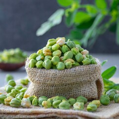 Green Chickpeas