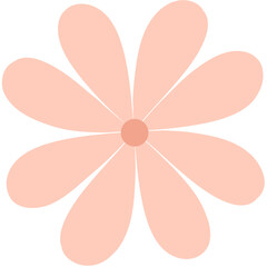 flower isolated on white