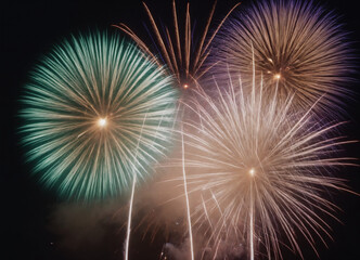 Obraz premium fireworks in the night sky