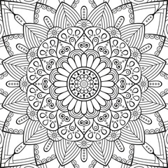 color abstract mandala flower design vector