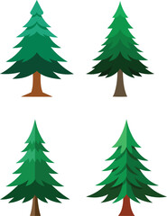 Pine tree vector illustration