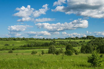 Air sunny summer landscape with large meadow, far forest under blue sky with white clouds. Natural summer background.