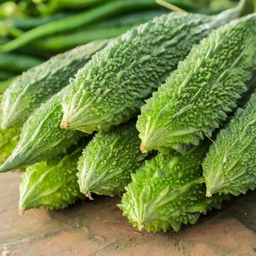 Bitter gouds or Bitter melon