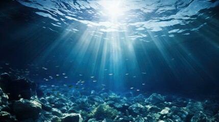Fototapeta premium Sunlight penetrates the oceans depths