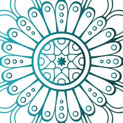 color abstract mandala flower design vector