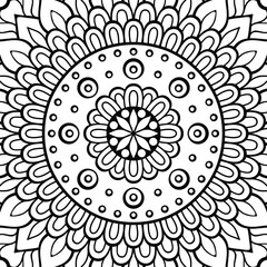 color abstract mandala flower design vector