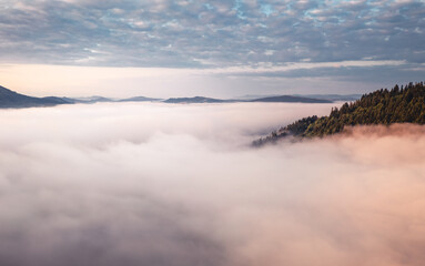 Thick fog covers the mountains in the rays of morning light. Carpathian mountains, Ukraine.