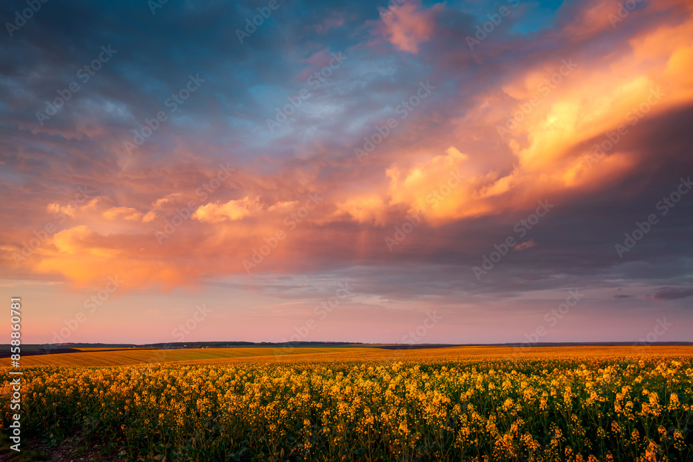 Poster Multicolored storm clouds illuminated by rays at sunset.