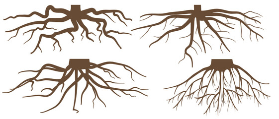 Various brown tree or shrub roots. Parts of plant, root system with tree stump. Dendrology, study of woody plants. Sketch drawing. Vector illustration. eps 10