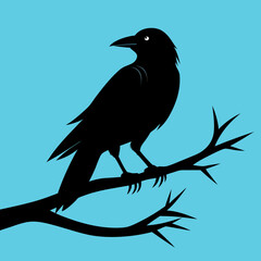 Fototapeta premium crow on a branch