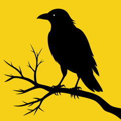silhouette of a crow