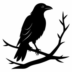 crow on a branch