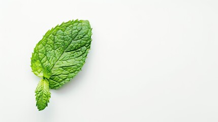 Aromatic mint leaf isolated on white, ideal for culinary recipes and seasoning ads