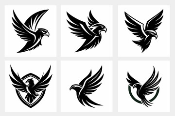 set of eagle birds vector illustration
