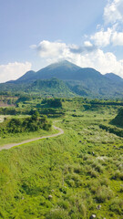 green savana with a mountain background