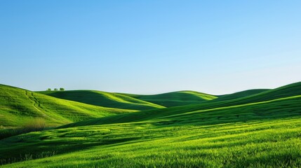 Obraz premium Rolling hills covered in fresh green grass and a clear, blue sky
