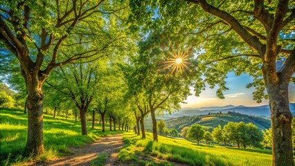 Fototapeta premium Serene summer scene in italian countryside with bright green trees stretching towards sky, dappled sunlight filtering through leaves, warm natural tones and gentle atmosphere.,hd,8k.
