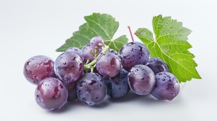 Fototapeta premium Fresh Grapes with Dew Drops and a Vine Leaf