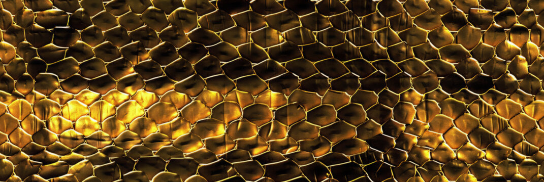 Close up of a gold snake skin background texture