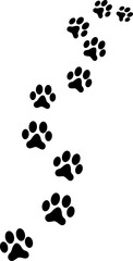 Cat Footprints