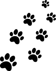 Fototapeta premium Cat Footprints